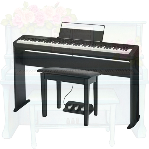 Piano Tuning & Maintenance